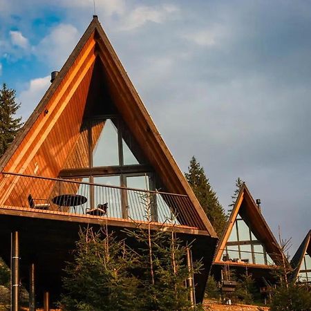 Уліс Ворохта Villa Krivopol'ye Buitenkant foto